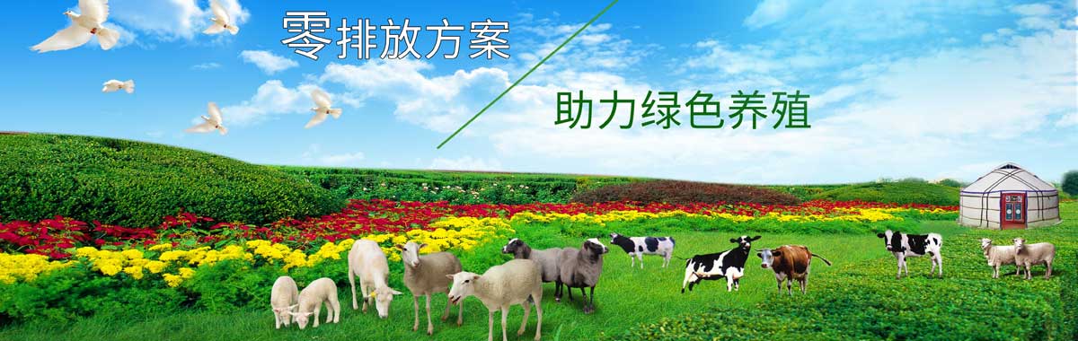 &#20048;&#40060;&#32593;&#39029;&#29256;&#45;&#20048;&#40060;&#40;&#20013;&#22269;&#41;&#23448;&#26041;